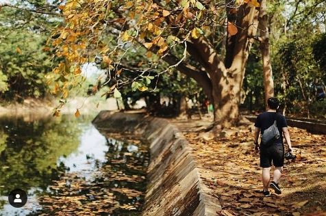 Hutan Kota Srengseng, Jakarta Barat (Instagram @adriantjahjono)