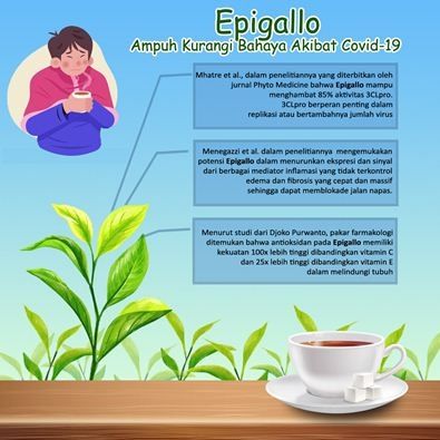 Manfaat Epigallo untuk mencegah bahaya akibat Covid-19