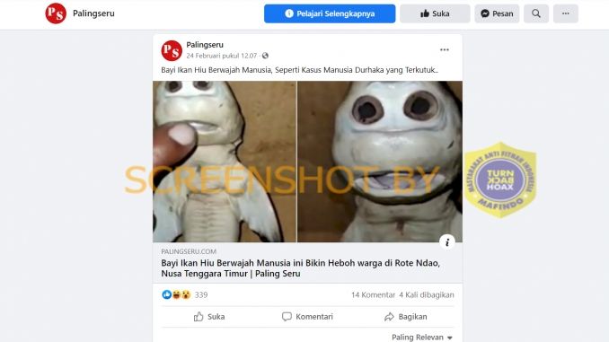 Bayi ikan hiu berwajah manusia seperti manusia durhaka (Turnbackhoax.id)