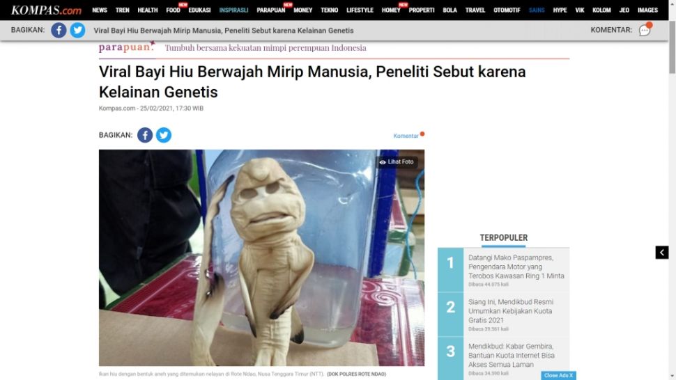 Bayi ikan hiu berwajah manusia seperti manusia durhaka (Turnbackhoax.id)