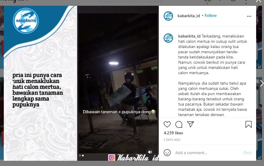 Ngapel bawa tanaman hias dan pupuk (IG/kabarkita_id)