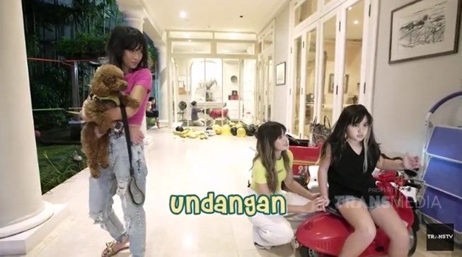 Potret meriah pesta ulang tahun anjing Nia Ramadhani, Maximus Bakrie. (YouTube/TRANS TV Official)