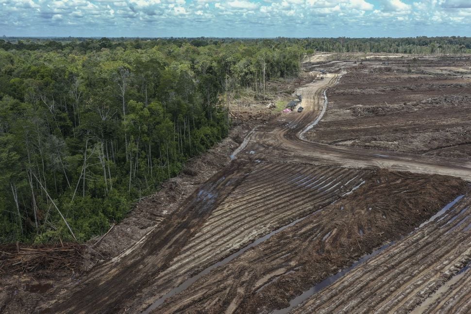 Foto udara areal lumbung pangan nasional 'food estate' komoditas singkong di Tewai Baru, Kabupaten Gunung Mas, Kalimantan Tengah, Sabtu (6/3/2021). [ANTARA FOTO/Makna Zaezar]