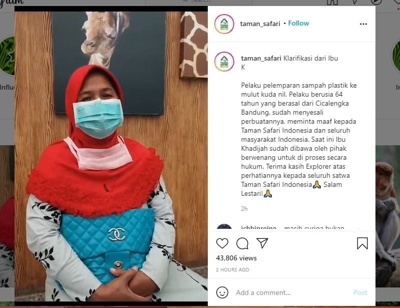 Pelempar sampah ke mulut kuda nil minta maaf (IG/taman_safari)