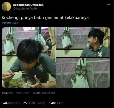 Demi Bisa Makan, Pria Ini Lakukan Hal Tak Terduga ke Kucing Peliharaan. (Twitter/@kegblgnunfaedah)