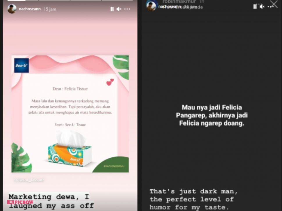 Anak Ahok, Nicholas Sean soal kasus Kaesang (InstagramStory/nachoseann).