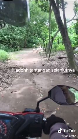 Perjalanan menuju rumah penuh tantangan. (Tiktok/@itsbiatchh)