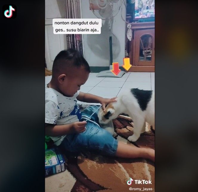 Bocah rebutan susu dengan kucing (Tiktok)