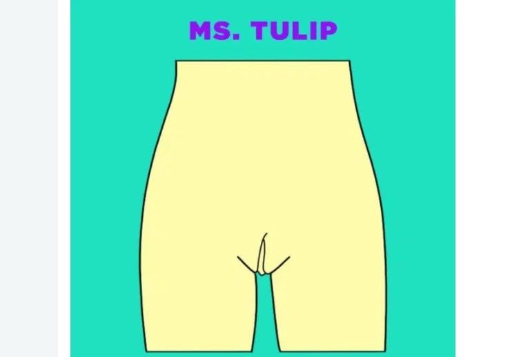 Bentuk Vagina Tulip (KYLAH BENES-TRAPP/Elite Daily)