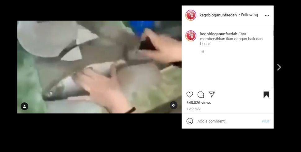 Potong Ikan Pakai Pisau, Ending Video Memasak Ini Malah Bikin Sedih. (Instagram/@kegoblogranunfaedah