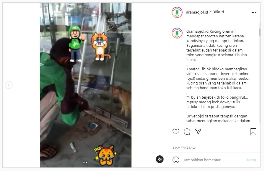 Viral aksi penyelamatan kucing oleh sopir ojol (Instagram).