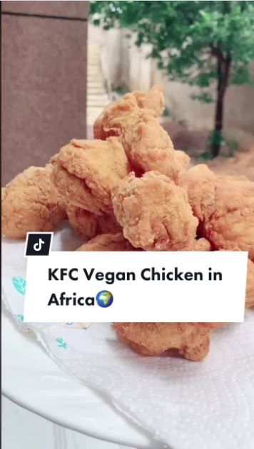 Wanita ini membuat ayam krispi KFC vegan di Afrika  (TikTok @texykitchen1)