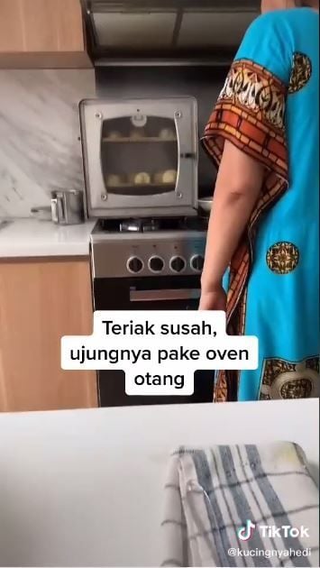 Oven di atas oven (TikTok @kucingnyahedi)