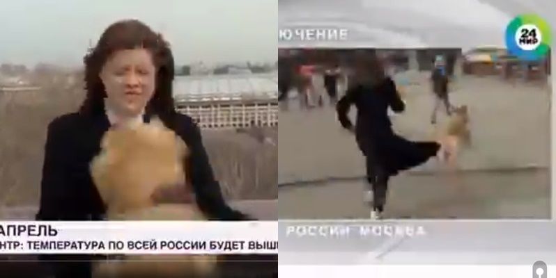 Anjing Rebut Mic Reporter. (Twitter/@Ozkok_A)