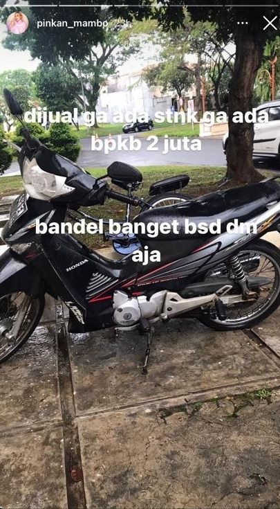 Unggahan Pinkan Mambo [Instagram/@pinkan_mambo]