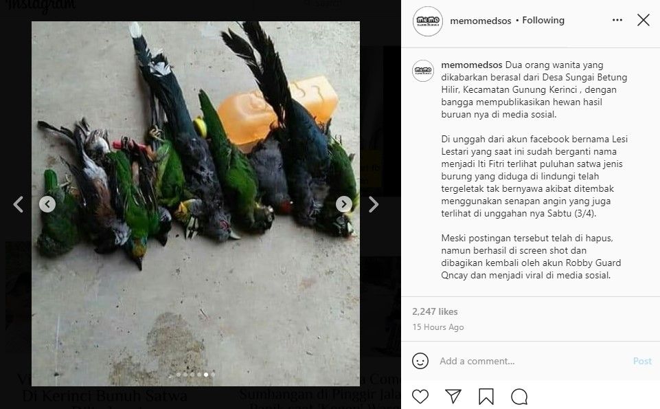 Dua wanita pamer tembak mati burung liar yang dilindungi di Kerinci (IG)