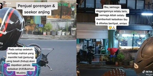 Viral Ibu Berhijab Beri Makan Anjing (TikTok/tio_russ)