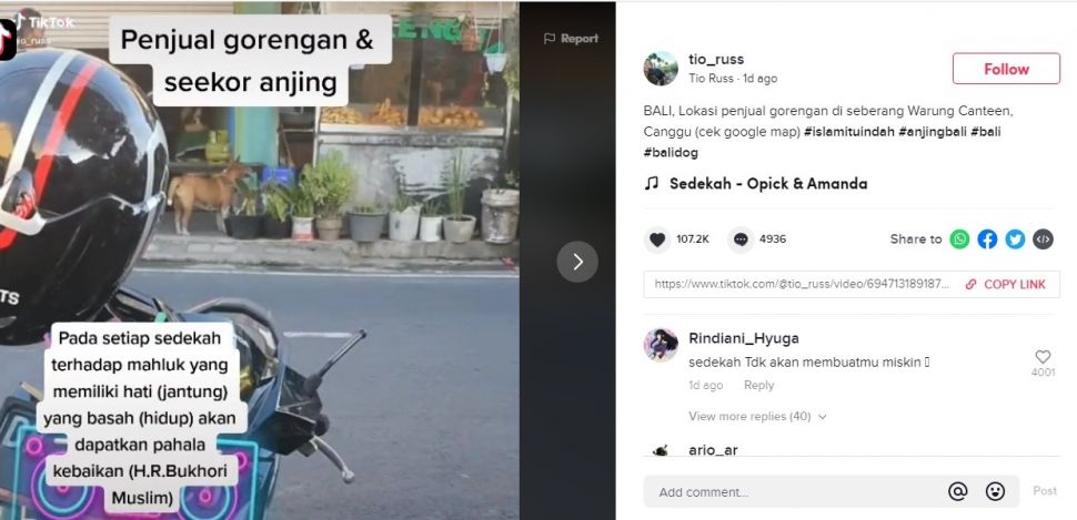 Viral Ibu Berhijab Beri Makan Anjing (TikTok/tio_russ)