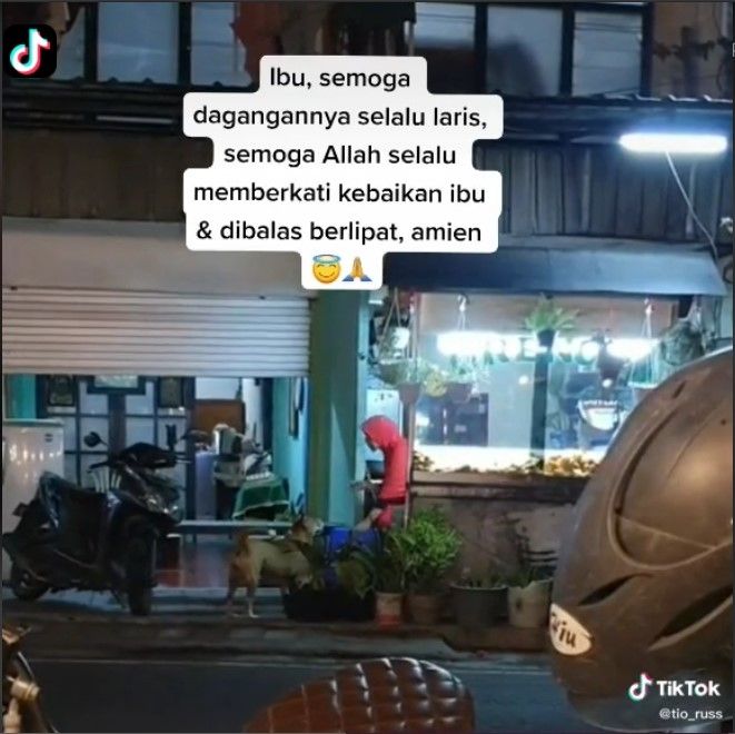 Kasih Makan Anjing Liar, Aksi Ibu Berhijab Ini Ini Tuai Pujian. (Dok: TikTok/TioRuss)