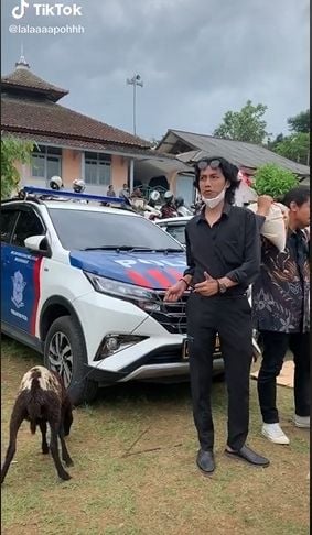 Pemuda bawa kado kambing sampai singkong untuk nikahan teman. (Tiktok/@lalaaaapohhh)