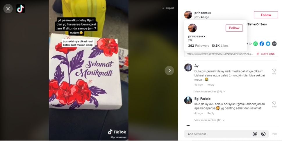 Pesawat delay dapat nasi kotak, pas dibuka isinya bikin warganet merasa tertipu (TikTok).