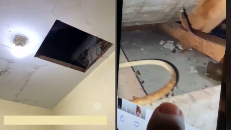 Pria intip plafon toilet karena parno ada suara cakaran (TikTok).