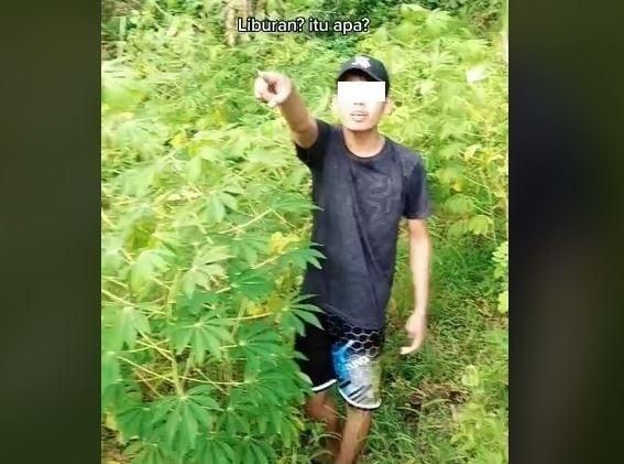 Cowok yang perlihatkan keindahan pantai di dekat ladang singkong dan sawah ini bikin netizen salfok. (TikTok/ @bayuam_)