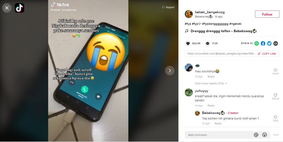 Viral gadis kaget dengar suara ponsel adik mendadak berdering (TikTok).