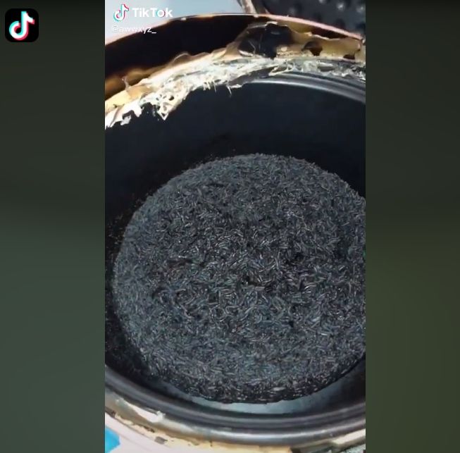 Nasi gosong dalam rice cooker (Tiktok)