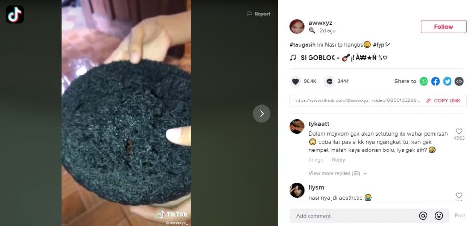 Viral Masak Nasi Pakai Rice Cooker Rusak. (TikTok/@awwxyz_)