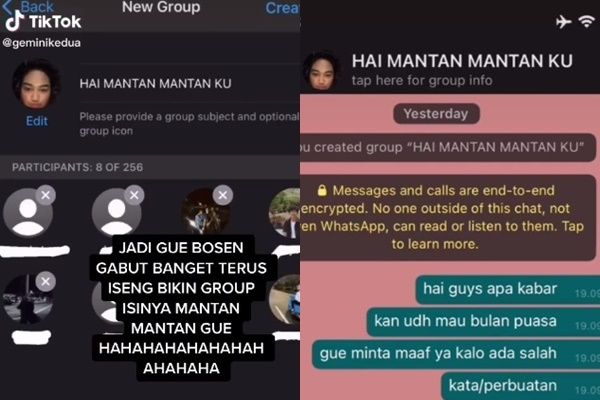 Viral Wanita Buat Grup WA Isinya 8 Mantan Kekasih. (TikTok/@gemini kedua)