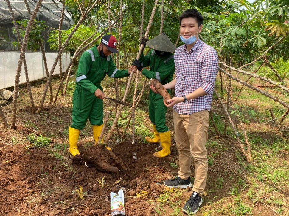 Hasil panen di Kebun Organik DINO Cikeas (Suara.com/ Risna Halidi)