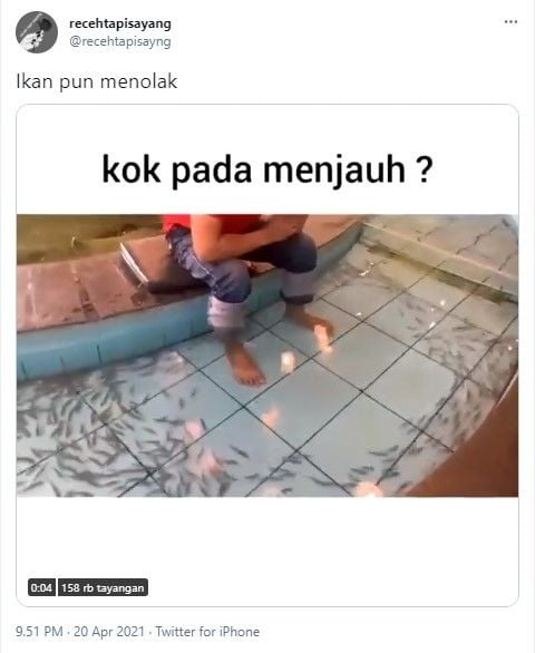 Ikan menjauh saat pemuda ini mau terapi (Twitter/recehtapisayng)