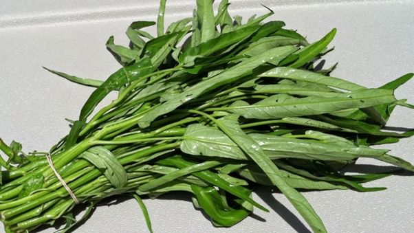 Sayuran Hidroponik Kangkung. (Grow Cook Eat)