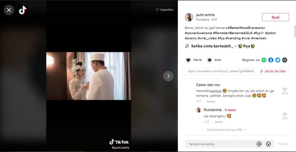 Viral pramugari dan penumpang pesawat jadi pasutri (TikTok/@putri.antris).