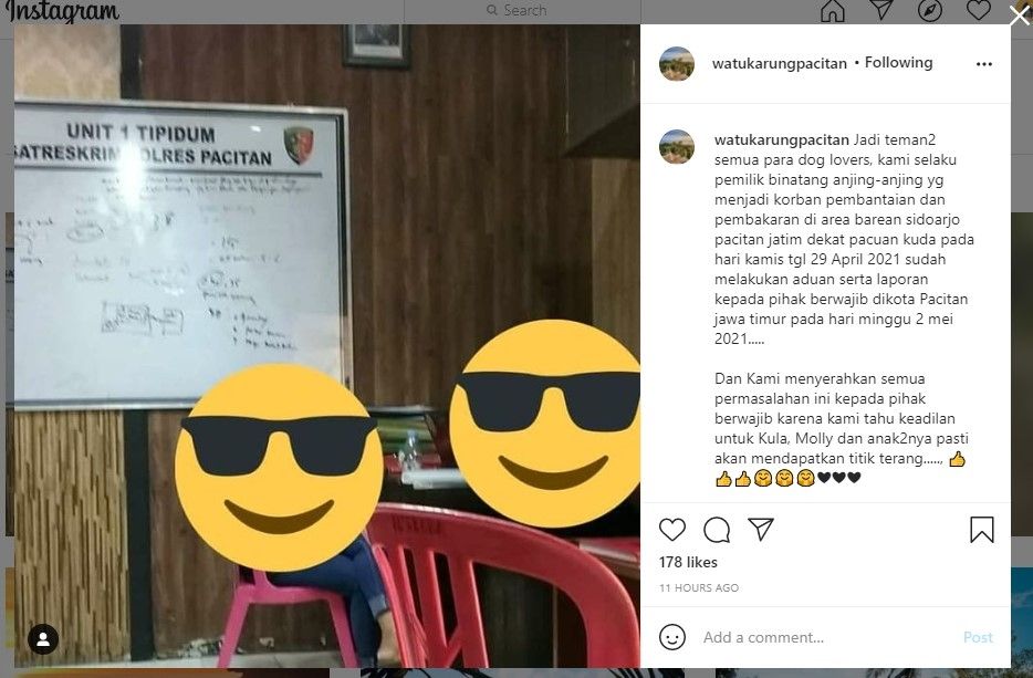 Anjing dipukuli dan dibakar hidup-hidup di Pacitan (IG)