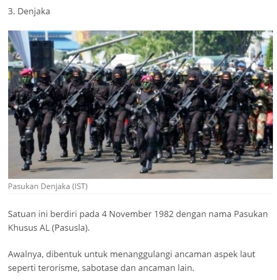 Fakta pasukan elit AL Denjaka diterjunkan tumpas KKB Papua (Turnbackhoax.id)