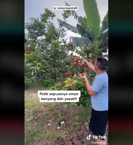 Fakta rumah Crazy Rich Setya Nugraha. (TikTok/setyanug)