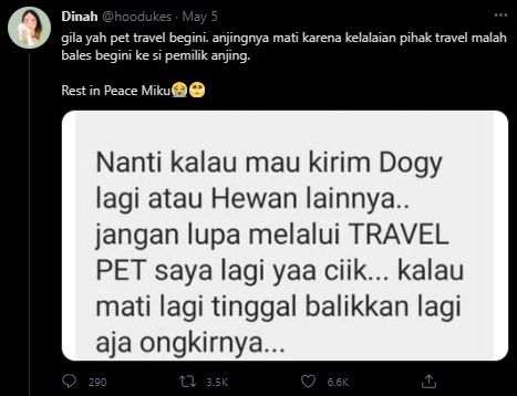 Viral Anjing Mati Saat Pengiriman. (Twitter/@hoodukes)