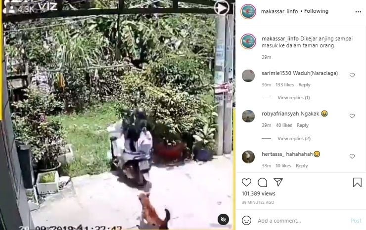 Video Pengendara Motor Dikejar Anjing. (Instagram/@makassar_iinfo)