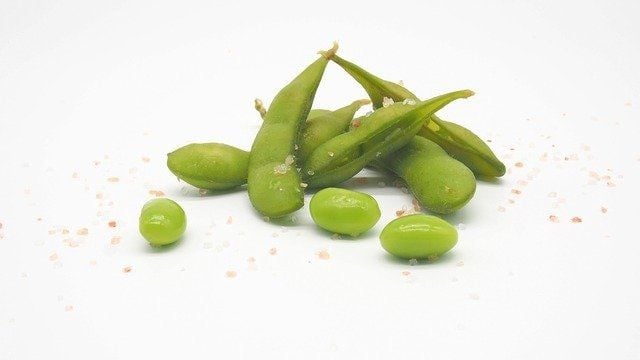 Ilustrasi edamame. (Pixabay)