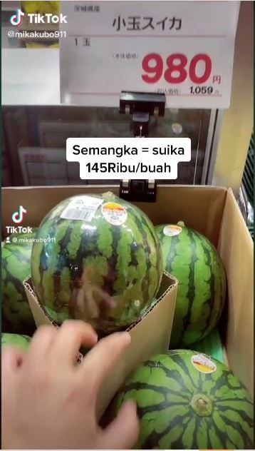 Semangka di Jepang mahal (TikTok @mikakubo911)