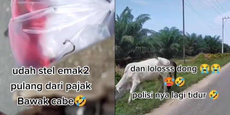 Viral Wanita Ngaku Lolos Penyekatan Mudik, Bergaya Emak-emak Pulang Belanja (TikTok/@lailanlyla)