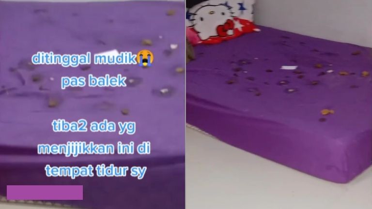 Kamar kos ditinggal mudik, waktu balik menjijikkan (TikTok).