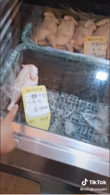 Harga ayam potong di Korea (TikTok @rofiqkompak1)