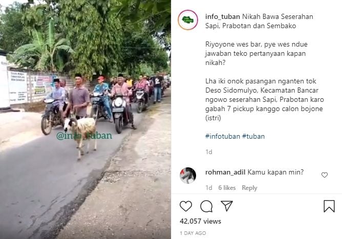 Pria seserahan bawa hewan ternak, perabotan, dan hasil panen padi. (Instagram/info_tuban)