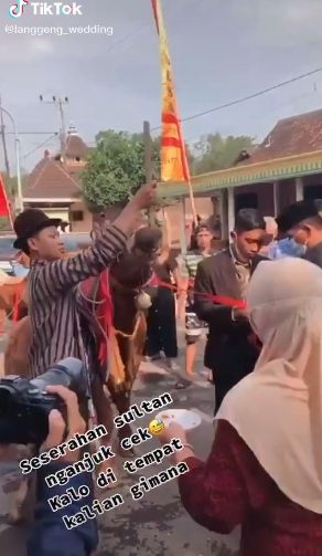 Pria di Nganjuk seserahan bawa 3 ekor sapi dan perabotan rumah. (Tiktok/@langgeng_wedding)