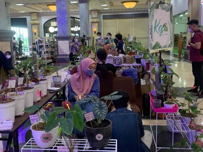 SCH Plant Corner, salah satu rangkaian acara Facinating June Sleman City Hall. (Suara.com/Ririn)