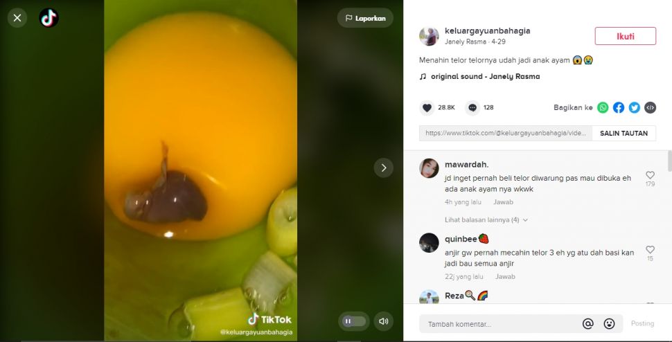 Wanita mau masak telur, syok yang keluar anak ayam (TikTok).