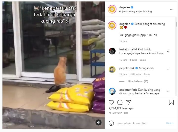 Viral kucing oren terdiam di depan toko, bikin warganet sedih (Instagram/dagelan).